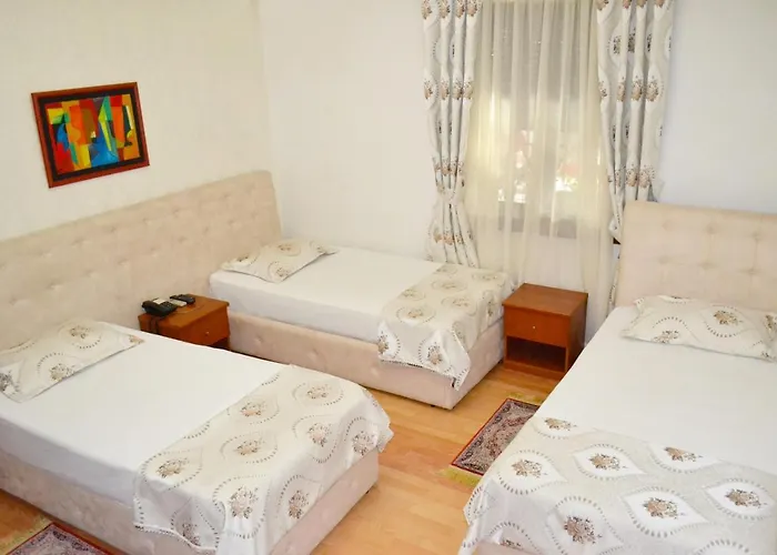 威拉塔法斯酒店 酒店 地拉那