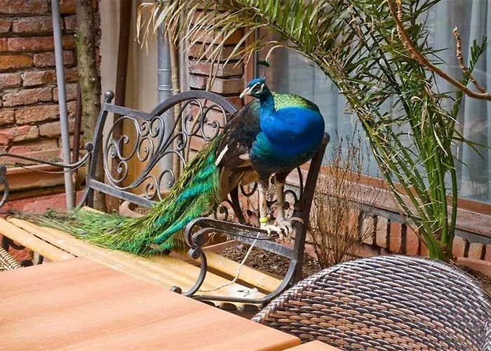 酒店 威拉塔法斯酒店 地拉那