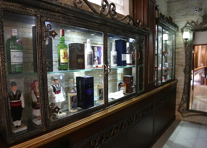 酒店 威拉塔法斯酒店 地拉那