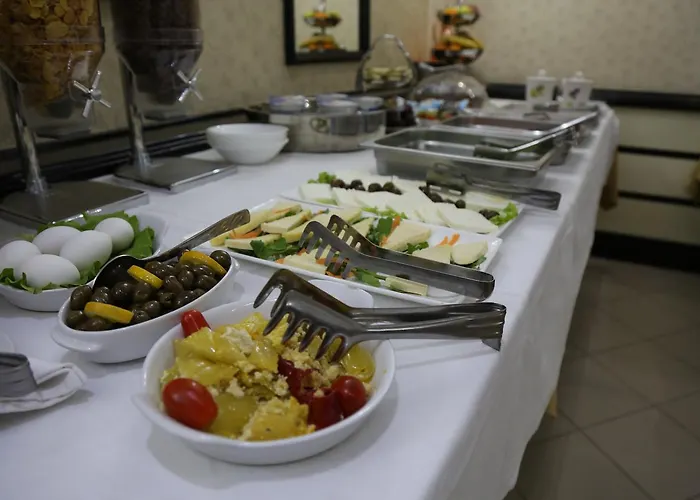 威拉塔法斯酒店 地拉那